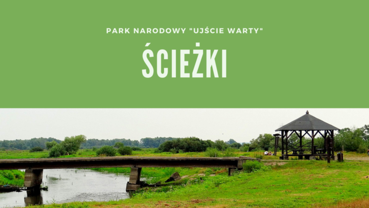 Park Narodowy „Ujście Warty” Ścieżki